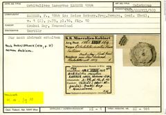 Karteikarte zum Holotyp von Orbitulites incertus Karrer, 1864